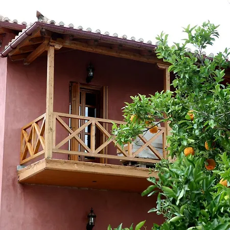 Hotel Despotato 3*