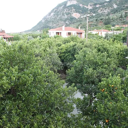 Hotel Despotato Magoula (Evia)